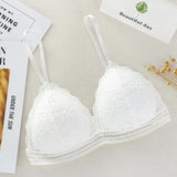 Matsely Lace Bralette - Alamode By Akanksha