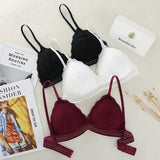 Matsely Lace Bralette - Alamode By Akanksha