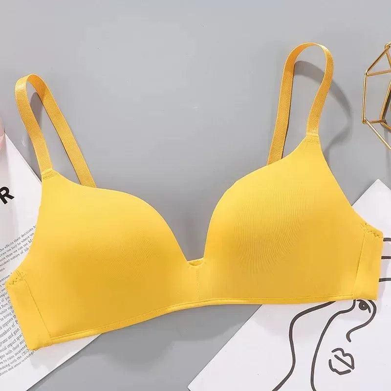 Celine Seamless Bralettes - Alamode By Akanksha