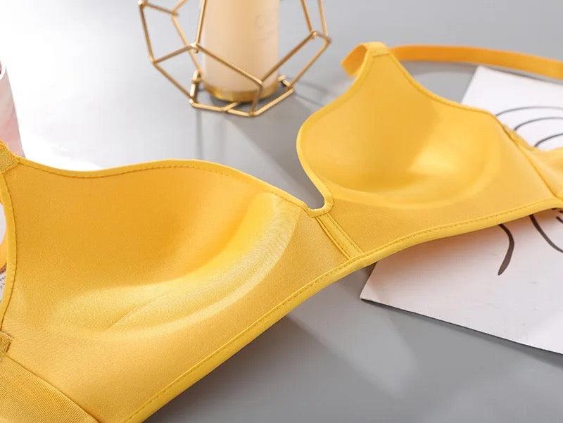 Celine Seamless Bralettes - Alamode By Akanksha