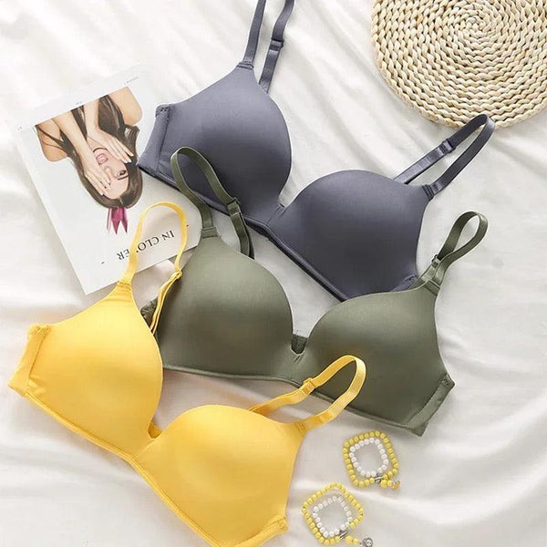Celine Seamless Bralettes - Alamode By Akanksha