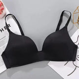 Celine Seamless Bralettes - Alamode By Akanksha