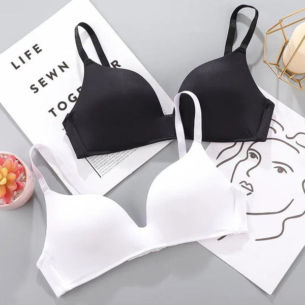 Celine Seamless Bralettes - Alamode By Akanksha