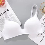 Celine Seamless Bralettes - Alamode By Akanksha