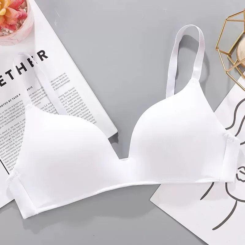 Celine Seamless Bralettes - Alamode By Akanksha