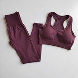 Rebecca Activewear Set - Alamode By Akanksha