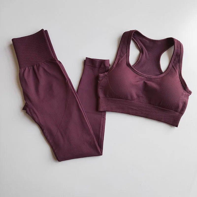 Rebecca Activewear Set - Alamode By Akanksha