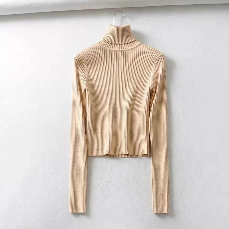 Neon Jumpers - Flat 50% Off - Alamode By Akanksha