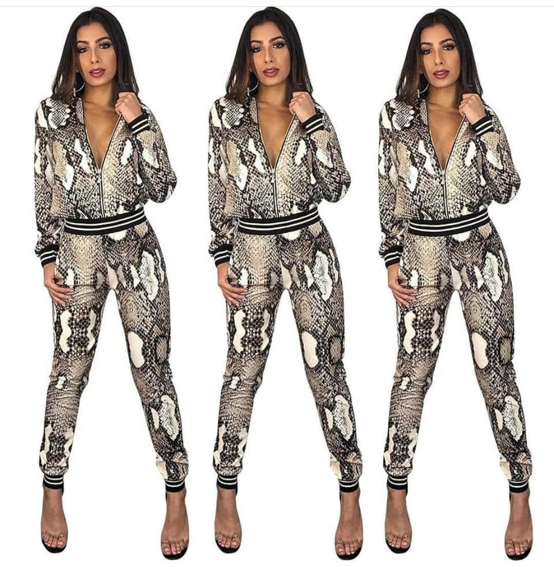 SnakeSkin Tracksets - Flat 50% Off - Alamode By Akanksha