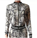 SnakeSkin Tracksets - Flat 50% Off - Alamode By Akanksha