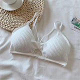 Bretic Bralette - Alamode By Akanksha