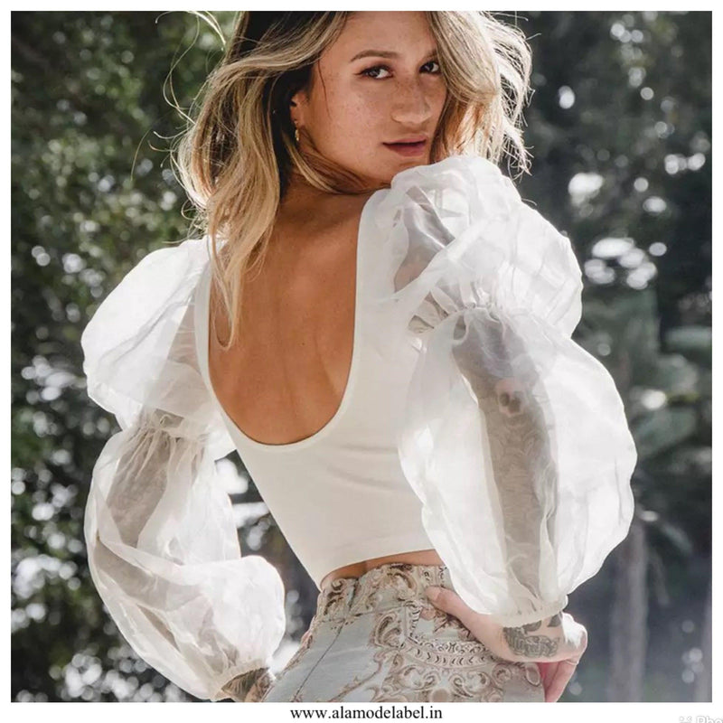Organza Mia Mia Blouses - Alamode By Akanksha