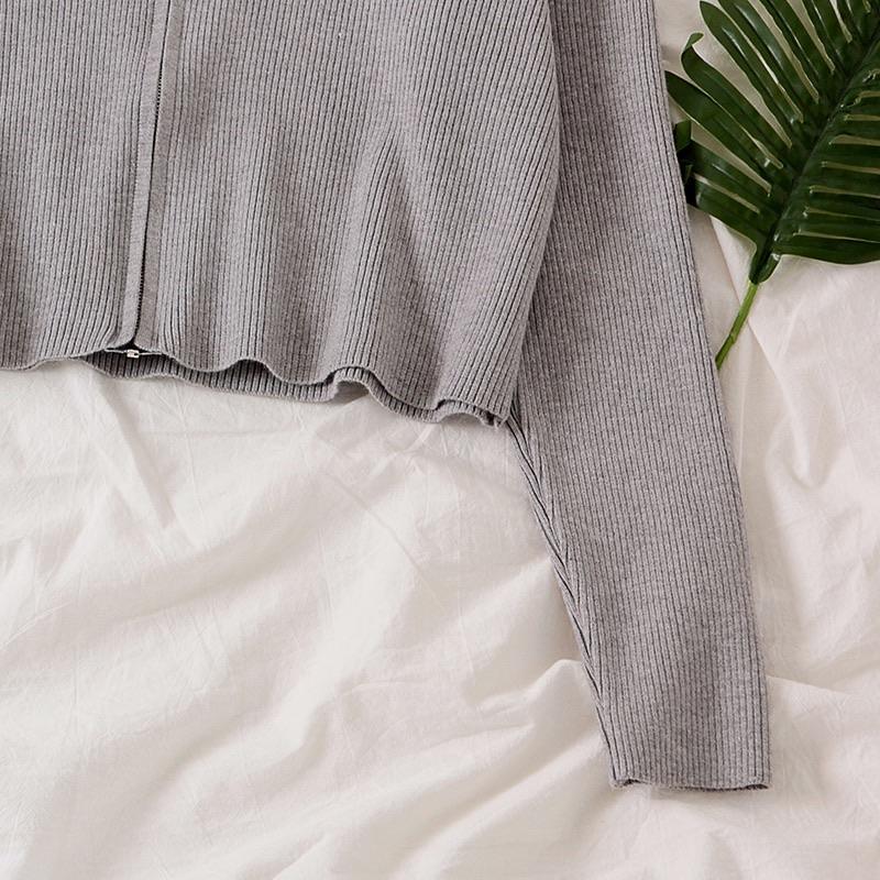 Tolio Cropped Hoodie - Alamode By Akanksha