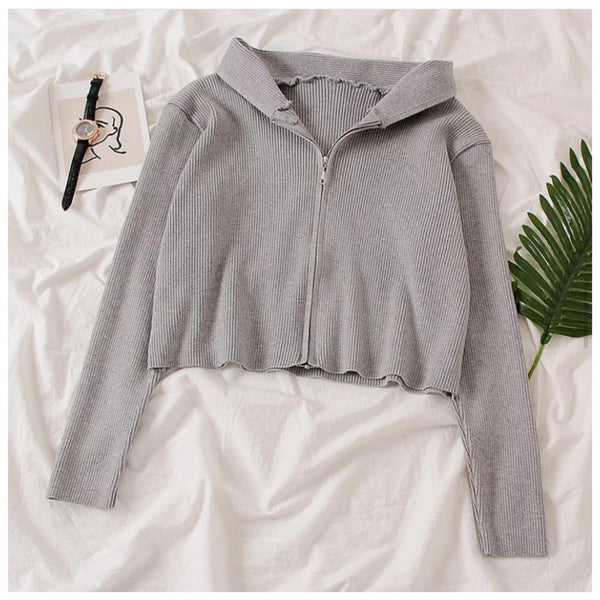 Tolio Cropped Hoodie - Alamode By Akanksha