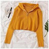 Tolio Cropped Hoodie - Alamode By Akanksha