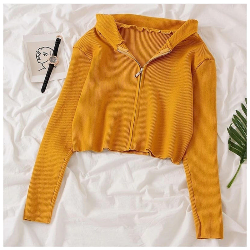 Tolio Cropped Hoodie - Alamode By Akanksha