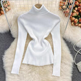 Laurent Turtleneck Sweaters - Alamode By Akanksha