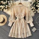 Mexicano Luxury Lace Dress - Alamode By Akanksha