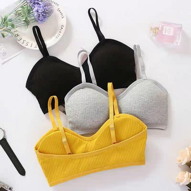 Vinyl Bralettes (Removable Pads) - Alamode By Akanksha