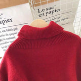 Lepsa Belted Dress / Sweater - Alamode By Akanksha