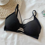 Bretic Bralette - Alamode By Akanksha