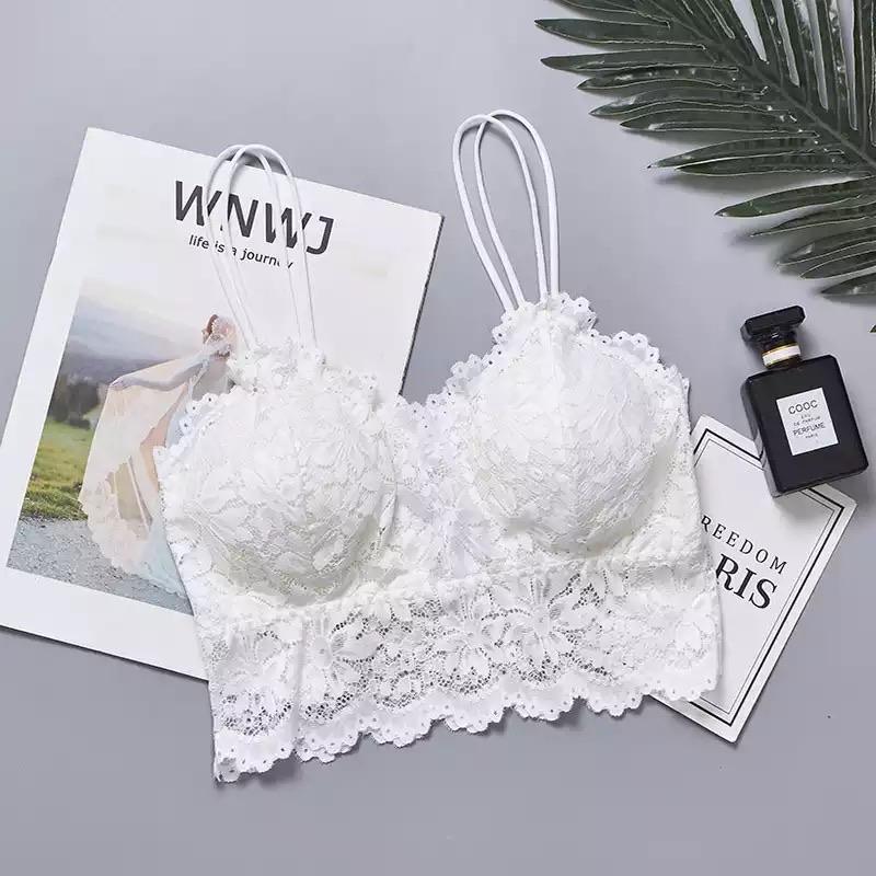 Jimmy Lace Bralette - Alamode By Akanksha