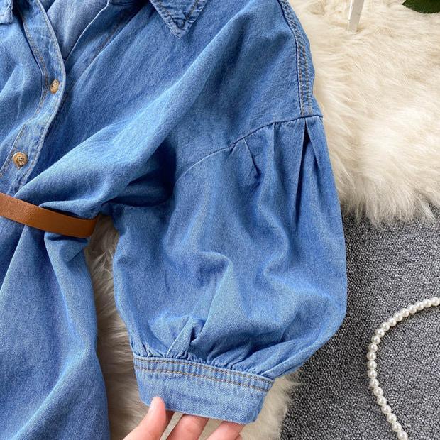 Mathews Denim Dress with Belt - Alamode By Akanksha