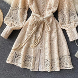 Mexicano Luxury Lace Dress - Alamode By Akanksha